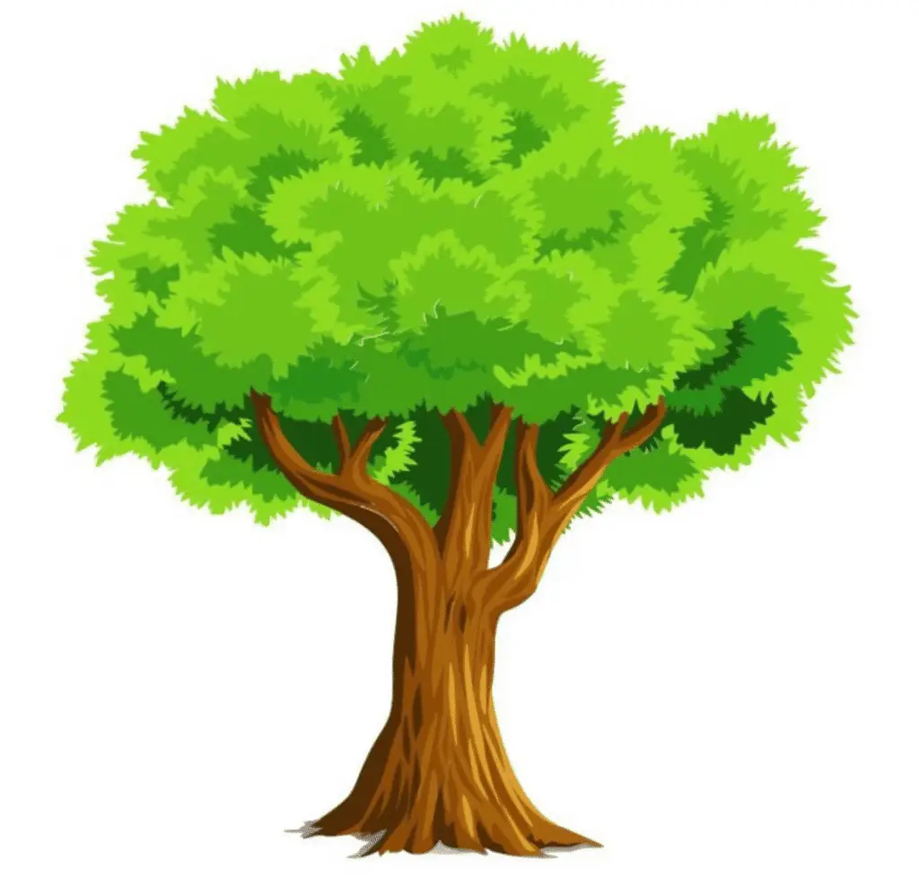 a green tree plabt